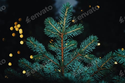 Preview: detail of a spruce christmas tree with lights blurred in the background at night