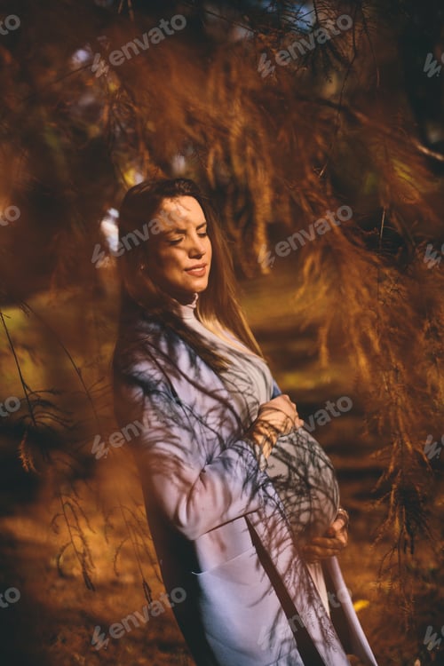 Preview: Beautiful pregnant woman outdoors