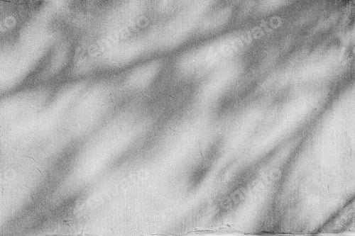 Preview: Shadow of tree on rough wall background