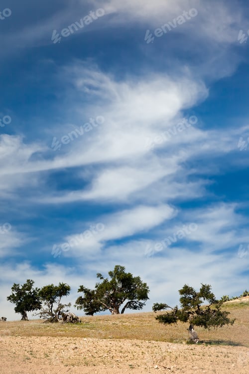 Preview: Trees at the top of a hill