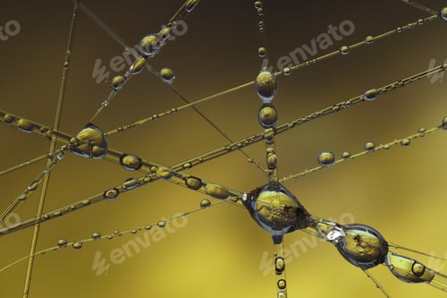 Preview: Macro water droplets