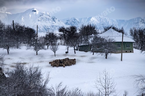 Preview: Rural landscape
