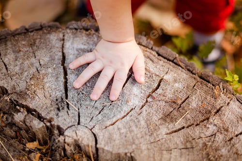 Preview: Close-up of a tiny baby hand against a wooden tree slice