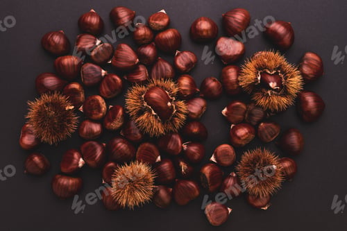 Preview: Ripe chestnuts close up. Raw Chestnuts for Christmas. Fresh sweet chestnut. Food background
