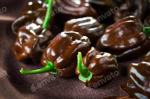 Preview: Habanero chocolate chili