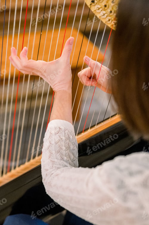 Preview: Vertical shot of a woman playing a harp