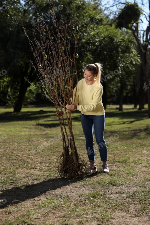 Preview: Happy woman with young trees ready for planting outdoors on sunny day