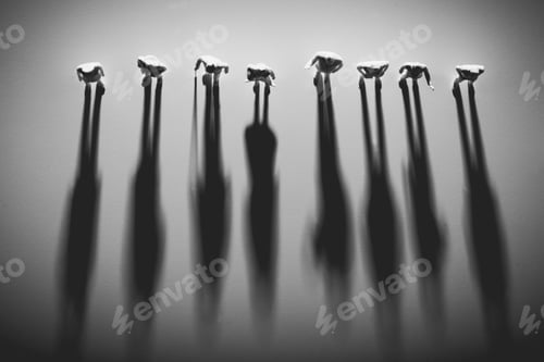 Preview: People figures standing in a row, casting shadows.