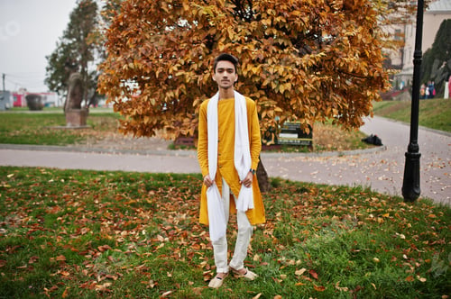 Preview: In indian traditional clothes