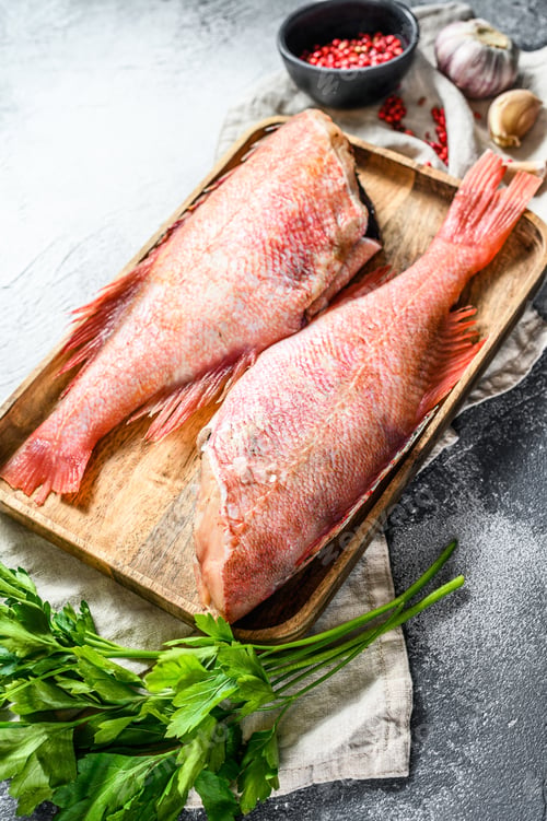 Preview: Raw red sea perch. Gray background. Top view