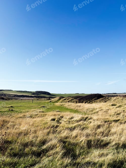 Preview: Open field at Seven Sisters Cliffs in East Sussex, blue sky and golden grasses