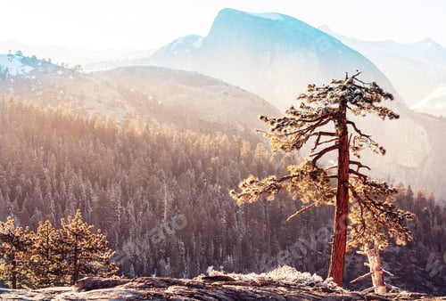 Preview: Yosemite