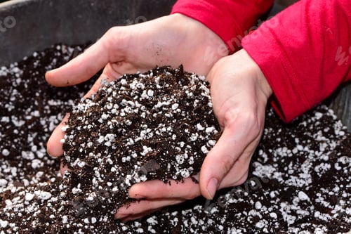 Preview: Female hands with potting soil getting ready to garden