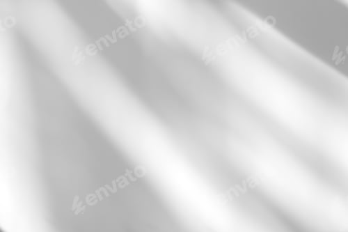 Preview: Abstract leaves natural shadow overlay on white texture background
