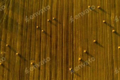 Preview: Straw bales on farmland with a blue cloudy sky.Harvested field with bales in Europe.Harvest.Belarus
