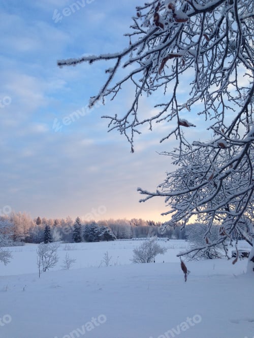 Preview: Winter sunrise in the country