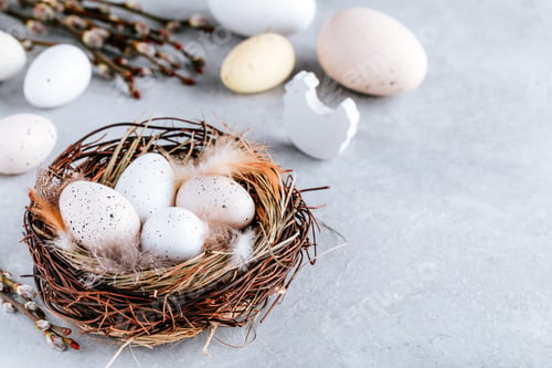 Preview: Easter eggs in the nest on gray stone background, copy space.