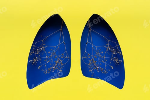Preview: Lungs symbol paper art.