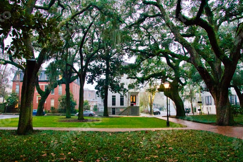 Preview: Empty urban park in residential neighborhood