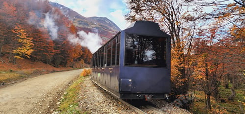 Preview: Train passing through colorful autumn trees