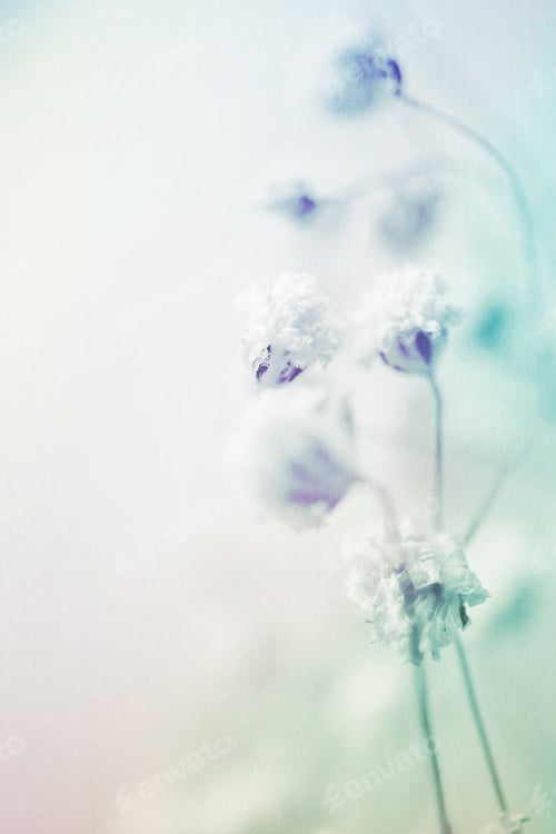 Preview: Colorful Flowers In Vintage Color Style On Mulberry Paper Texture For Background