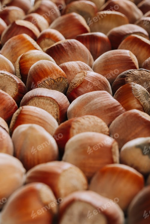 Preview: Closeup of some unopened hazelnuts