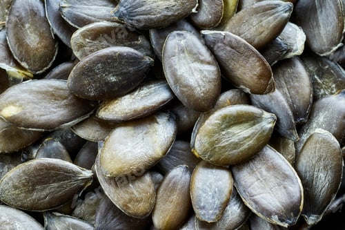 Preview: Close up picture of pumpkin seeds.