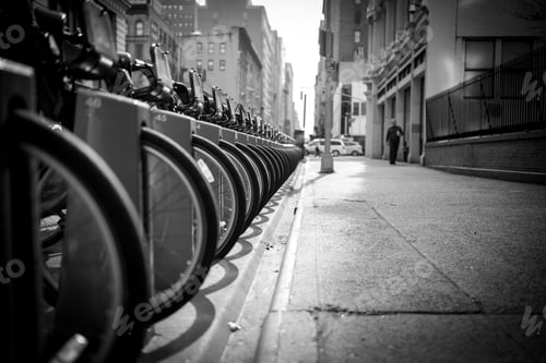 Preview: Bike Rentals in a Big City