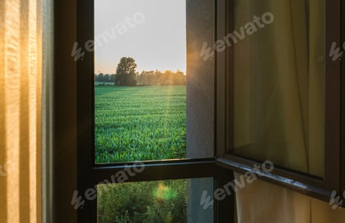 Preview: Window view of green field at sunset