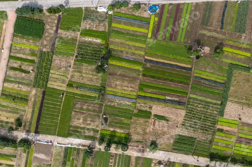 Preview: Aerial view on the garden Vegetable close to Hoi An, Vietnam