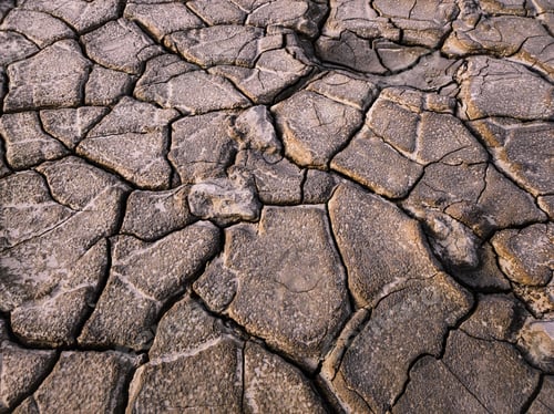 Preview: Drought