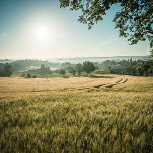 Preview: Golden sunrise over a tranquil farmland.
