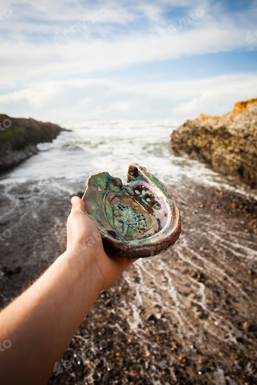 Preview: Vertical shot of a hand holding a beautiful abalone mollusk on a scenic cliffy shoreline background