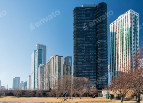 Chicago Architecture
