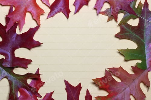 Preview: Fall Foliage Template - Colorful Fall Leaves Surrounding A Textured And Lined Surface, Which Can Be