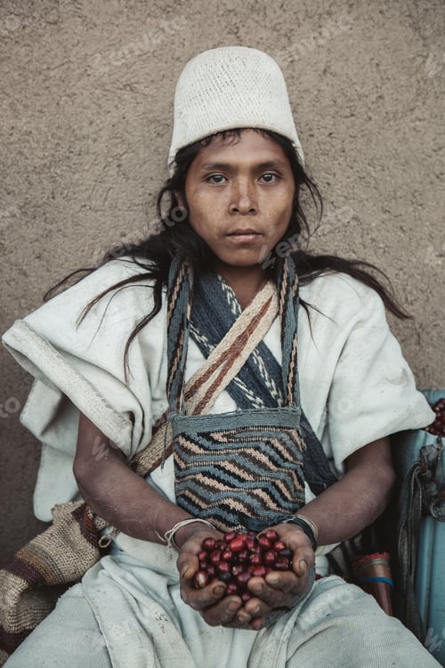Preview: An indigenous Colombian farmer dressed in traditional clothing holds coffee beans in his hands.