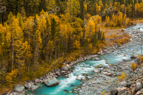 Preview: Beautiful landscape with a view of a mountain stream in the fall.