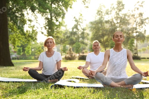 Preview: People practicing yoga in park at morning