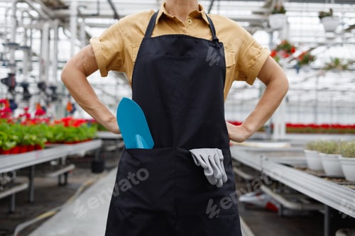 Preview: Female florist in a black apron with trowel and garden gloves in pockets stands in a greenhouse