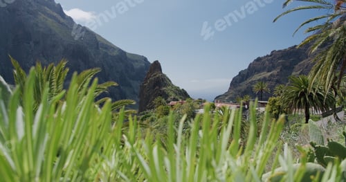 Preview: Masca Gorge and village on the island of Tenerife, Canary Islands, Spain