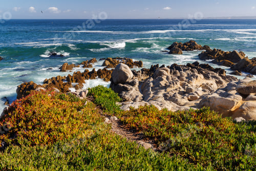 Preview: Coastal landscape in California