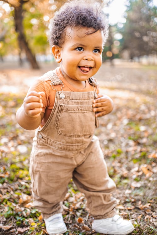 Preview: The first steps of a little boy's adventure