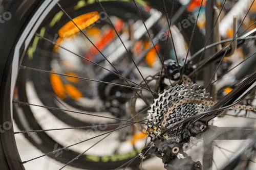 Preview: Mountain cycle in sports shop, focus on rear wheel