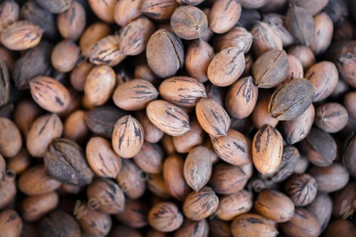 Preview: Top View of Pecans