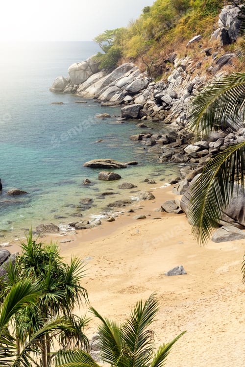 Visualização: Praia tropical com palmeiras