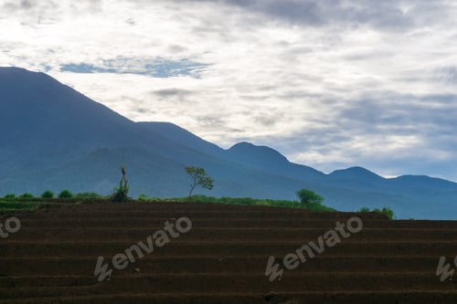 Preview: Beautiful morning view indonesia, Panorama Landscape paddy fields with beauty color and sky natural