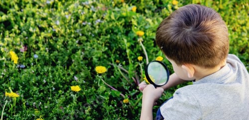 Preview: the boy looks at the flower through a magnifying glass.