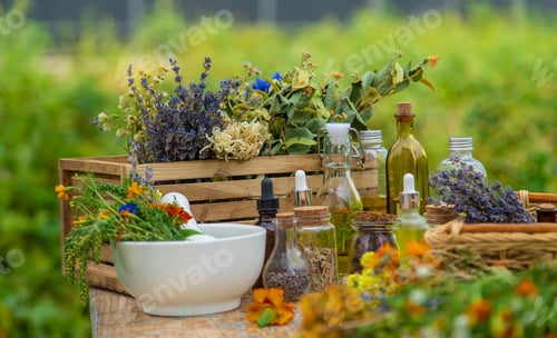 Preview: Medicinal herbs and natural tinctures. Selective focus.