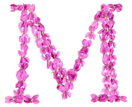 Preview: Letter M from alphabet, from flowers of violet, isolated on white background