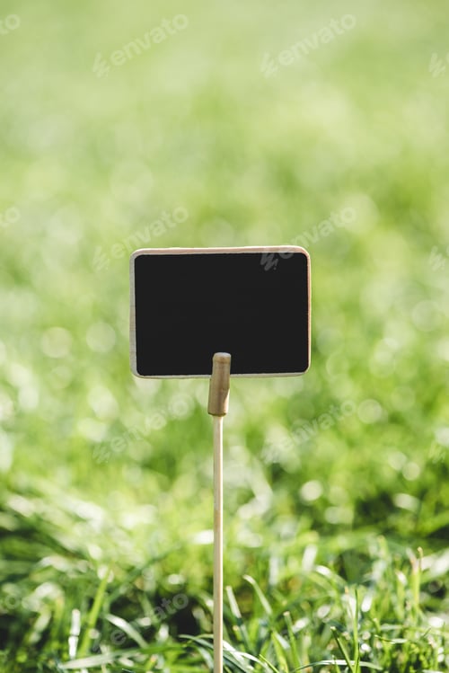 Preview: empty wooden blackboard on stick in green grass